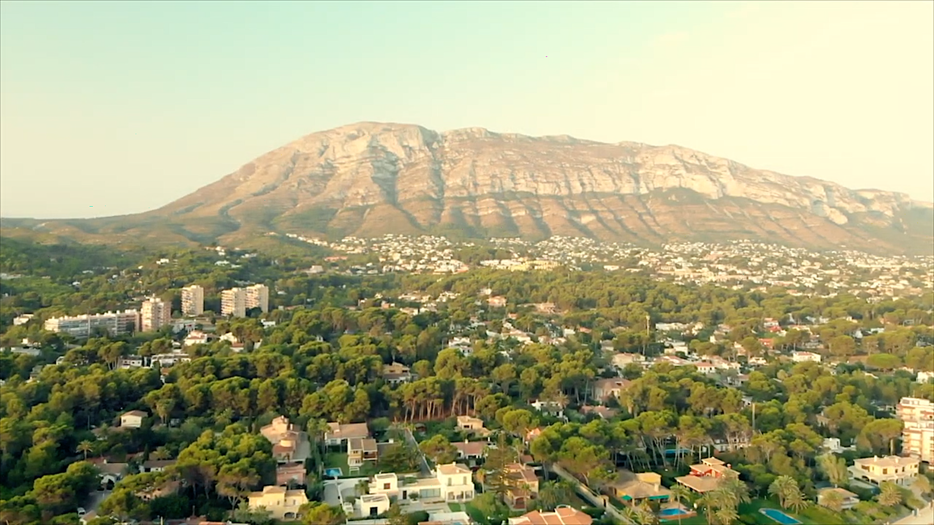 El documental que recull a Dénia les últimes paraules de l'home que va forjar la xiloteca més gran d'Europa