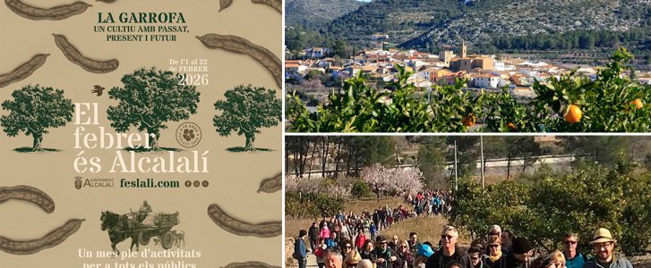 Alcalalí celebra una década de Feslalí del 1 al 22 de febrero apostando por la algarroba como cultivo de futuro: toda la programación