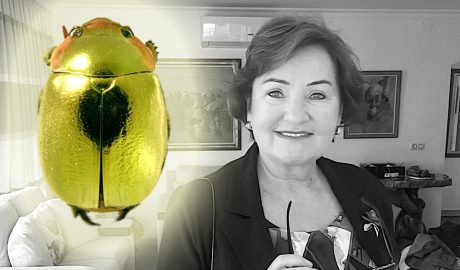 La concejala Doval y los escarabajos de oro